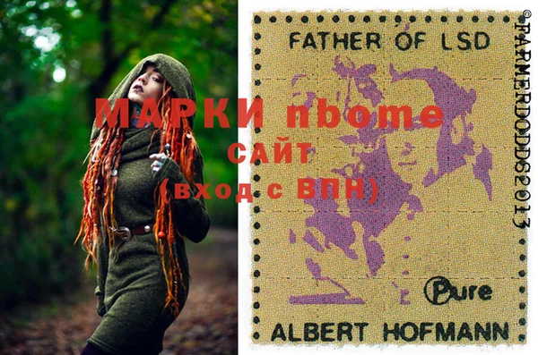 дживик Верхний Тагил