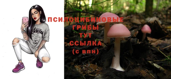 сатива Сосновка