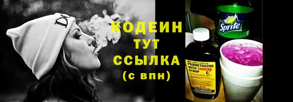дживик Верхний Тагил