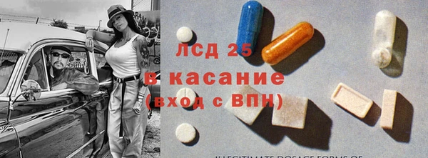 сатива Сосновка