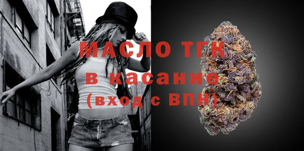 дживик Верхний Тагил