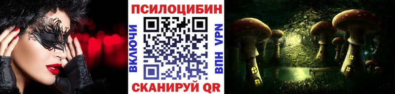 Псилоцибиновые грибы Cubensis  продажа наркотиков  Киржач 